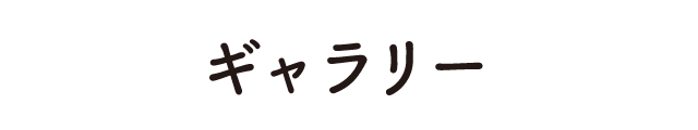ギャラリー